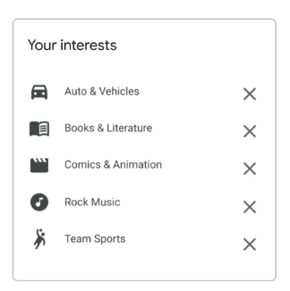 Example of Google Topics Interests