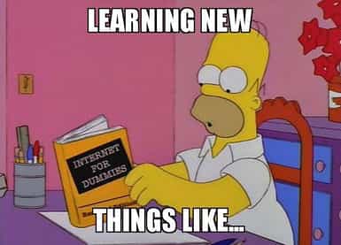 Learning New Things Like