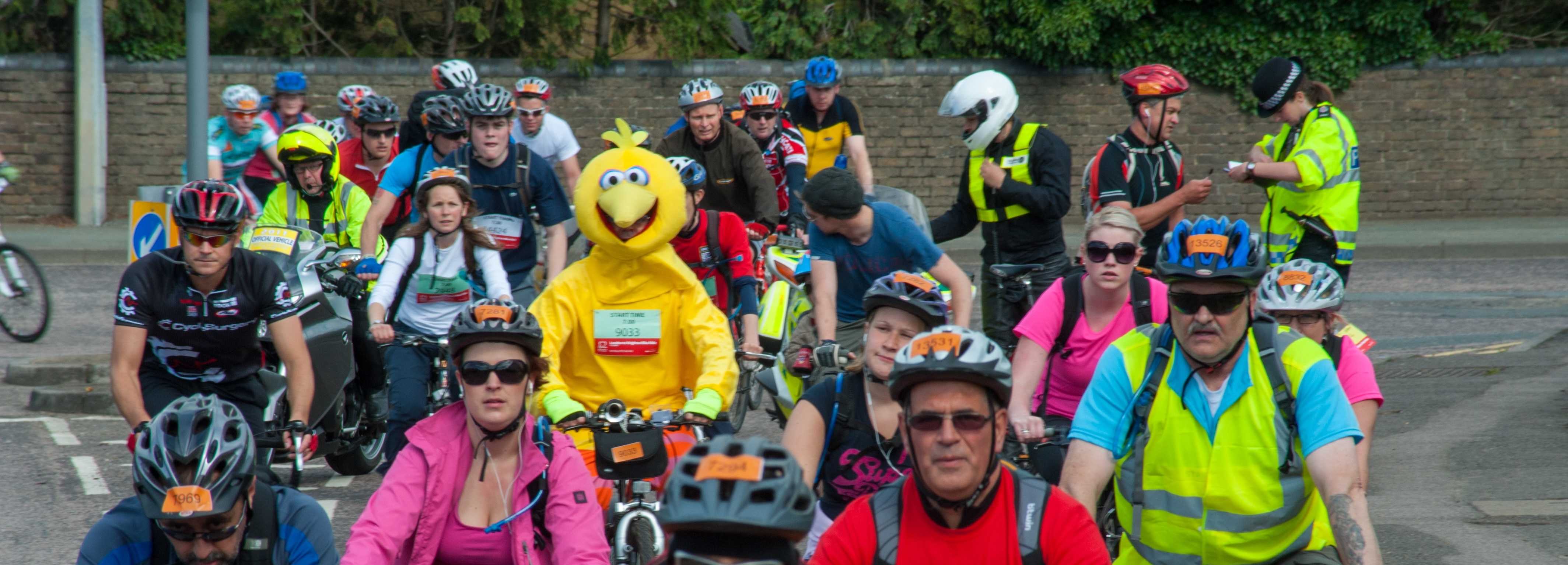 Picture of a group of people on bicycles with only one wearing a Big Bird costume in the middle of the group.