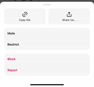 Threads Mute Restrict Block