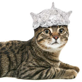 The tin foil hat i wear when I start wondering if Google is doing this as a way to boost their own business.