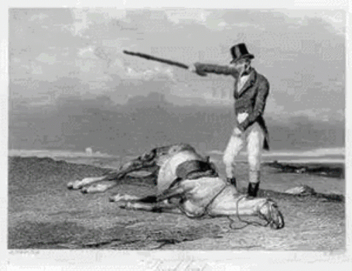 beat a dead horse