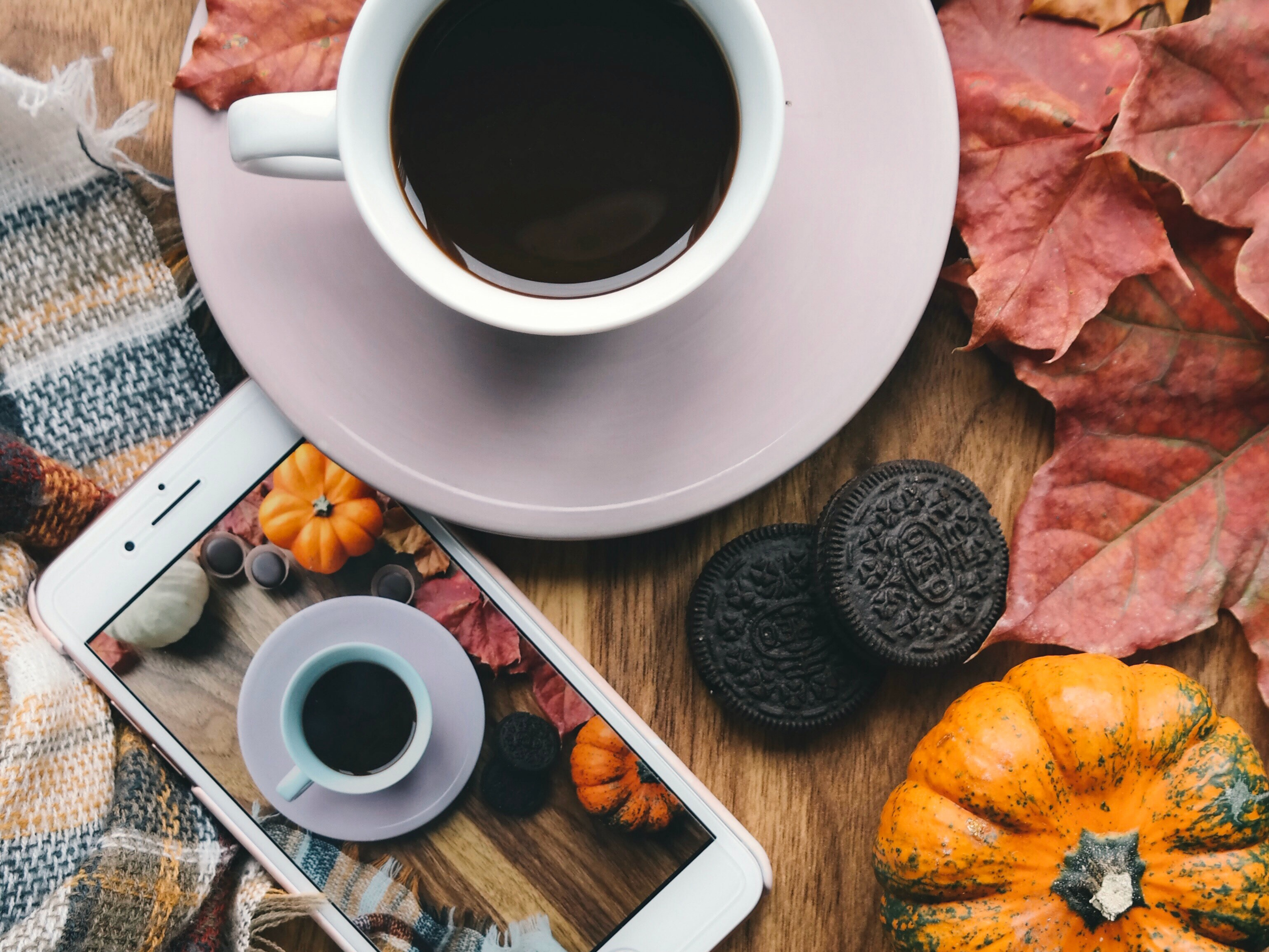 Fall Marketing That Makes a Cozy Connection